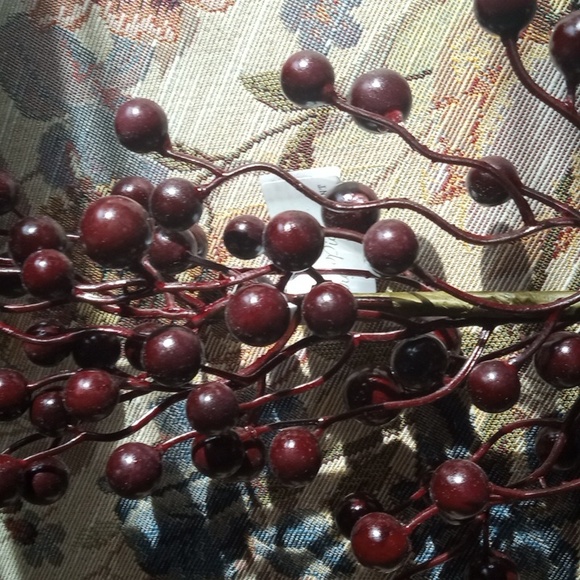 Berry stem - Picture 3 of 4